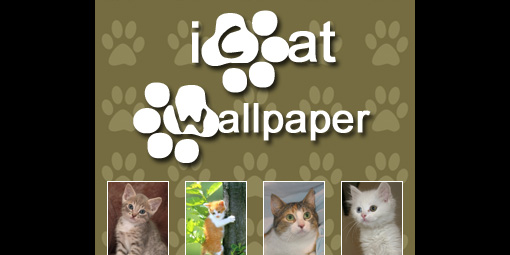 iCat Wallpaper