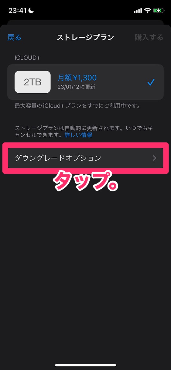 「ダウングレードオプション」をタップ。